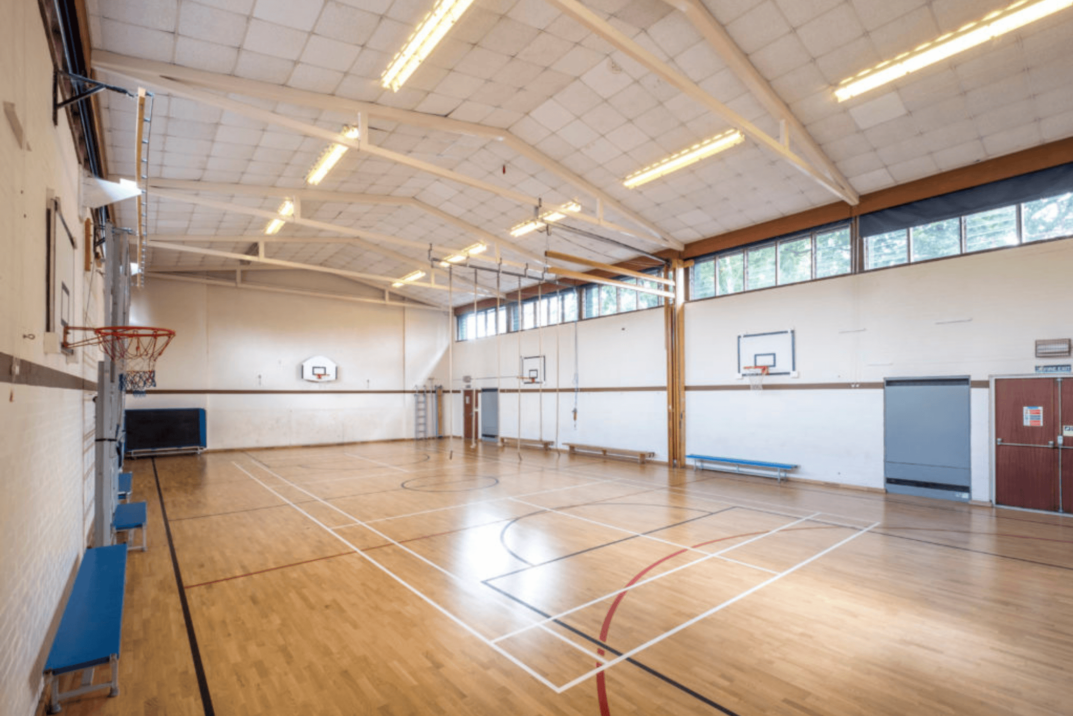 Gymnasium